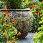 a-large-vase-sitting-in-the-middle-of-a-garden-filled-with-flowers