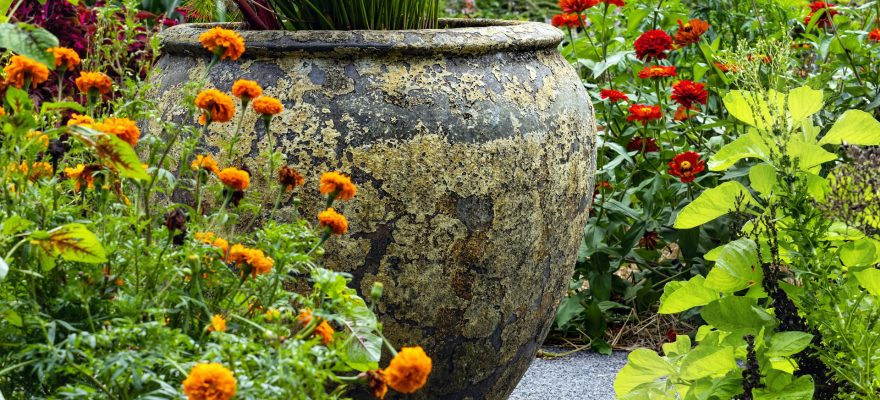 a-large-vase-sitting-in-the-middle-of-a-garden-filled-with-flowers