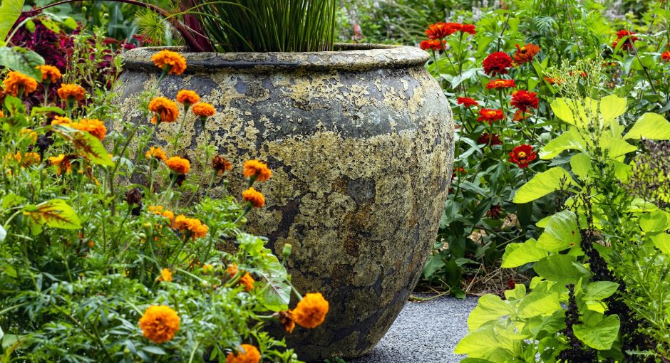 a-large-vase-sitting-in-the-middle-of-a-garden-filled-with-flowers